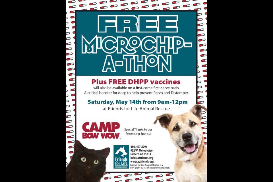 Friends for Life's annual free microchip-a-thon is May 14 - Friends for Life's annual free microchip-a-thon is May 14 -