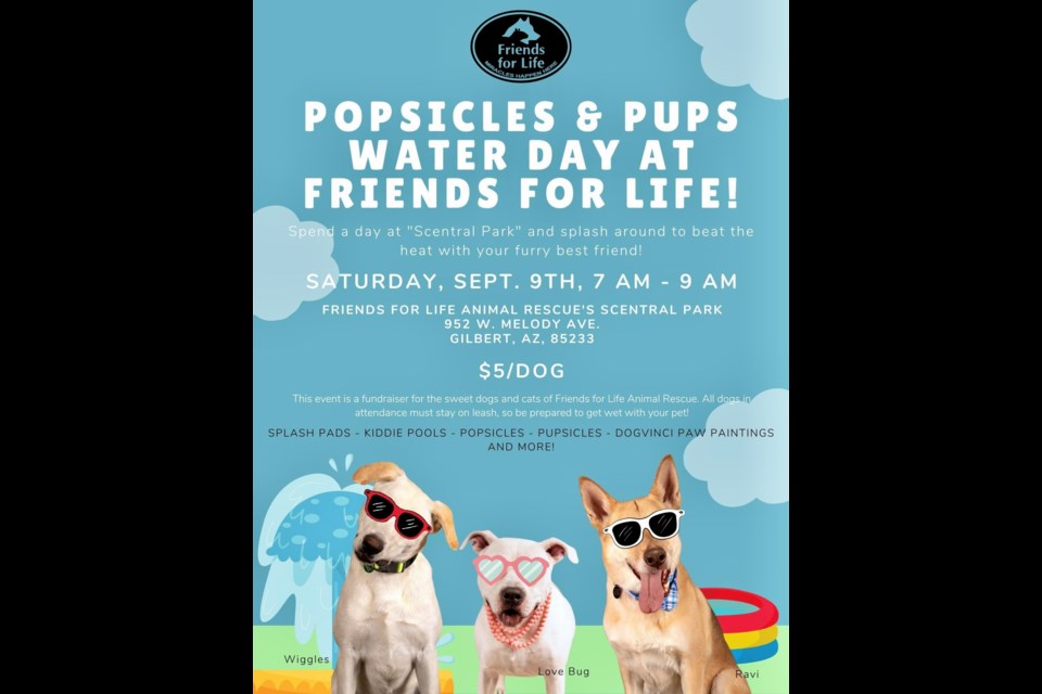 Best friends for life animal best sale rescue