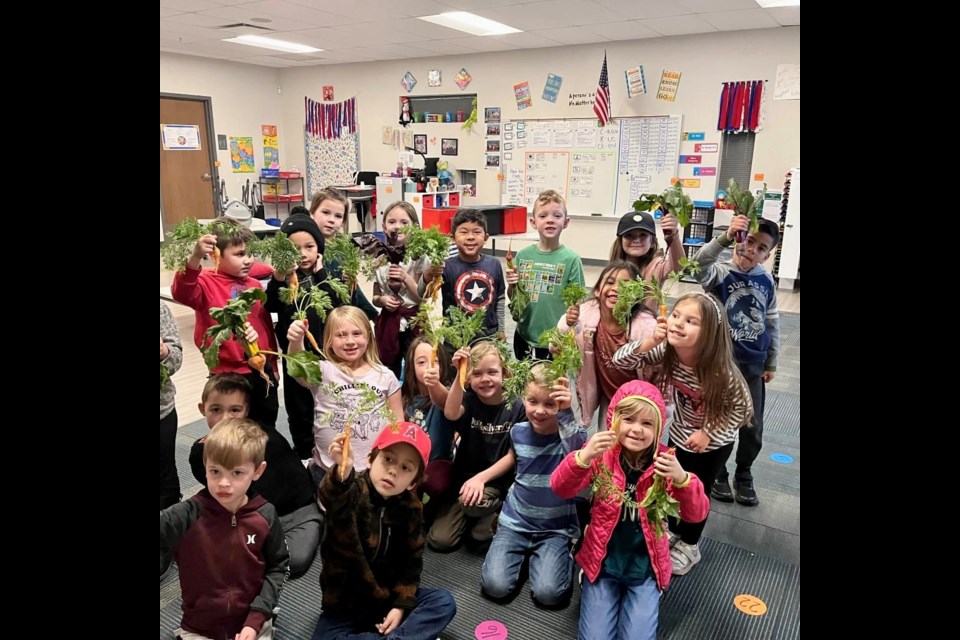 Little gardeners at Faith Mather Sossaman Elementary School harvested carrots and beets they had planted before winter break.