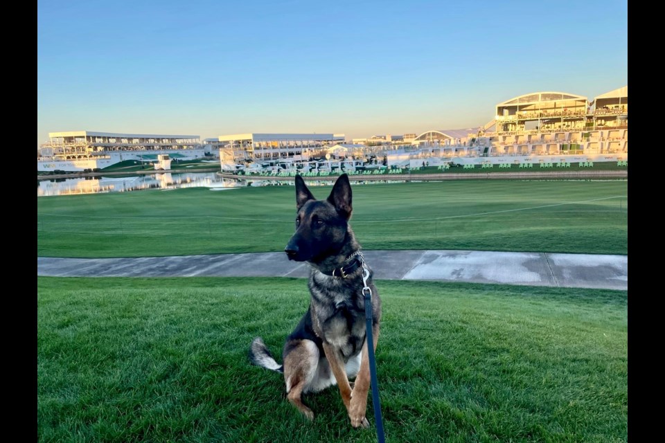 QCPD K-9 Officer Deanna Kuhn and K-9 Obi were proud to work alongside dozens of Arizona law enforcement agencies to help keep last week's high-profile events safe.