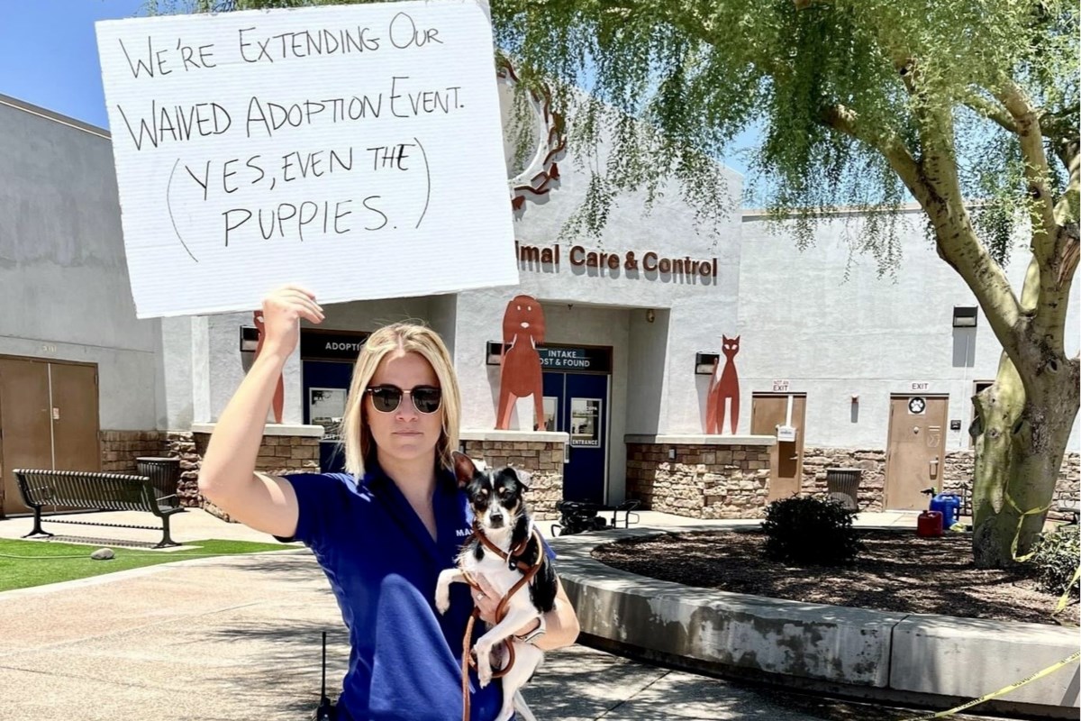 Maricopa County Animal Care & Control extends free adoptions through