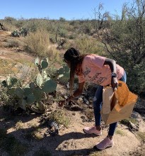 Mesa Community College student Barbara Kuffour collects seeds in the Tonto National Forest.