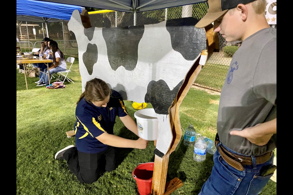 Queen Creek High School student Aaron Haynes, 15, watches Tristan Modic, 15, demonstrate how to milk a cow at the FFA agricultural zone during Founders' Day 2021 on Saturday, Sept. 18.