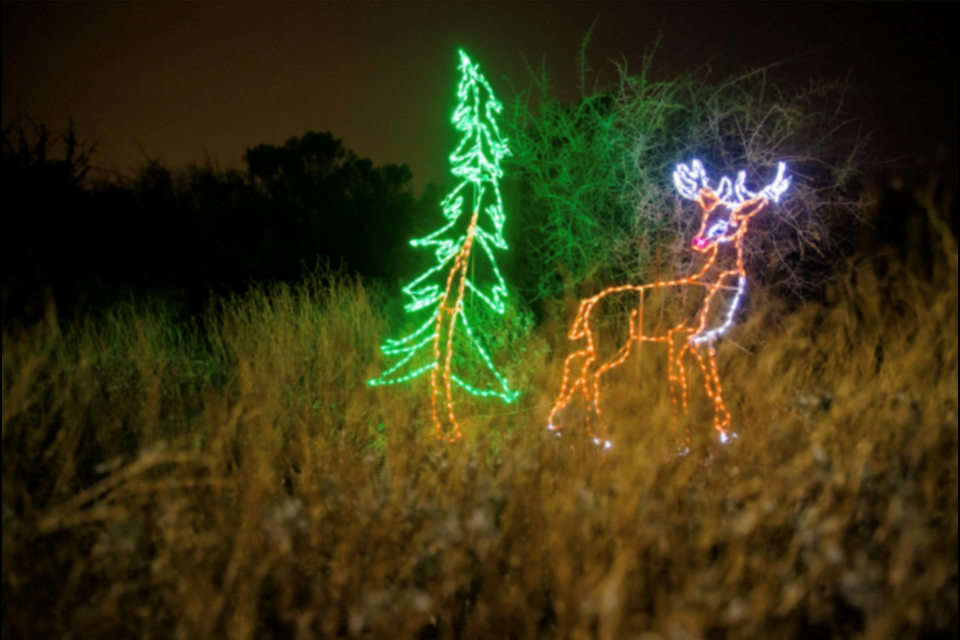 Gilbert will come alive with a holiday glow this December for Riparian After Dark at Riparian Preserve at Water Ranch.