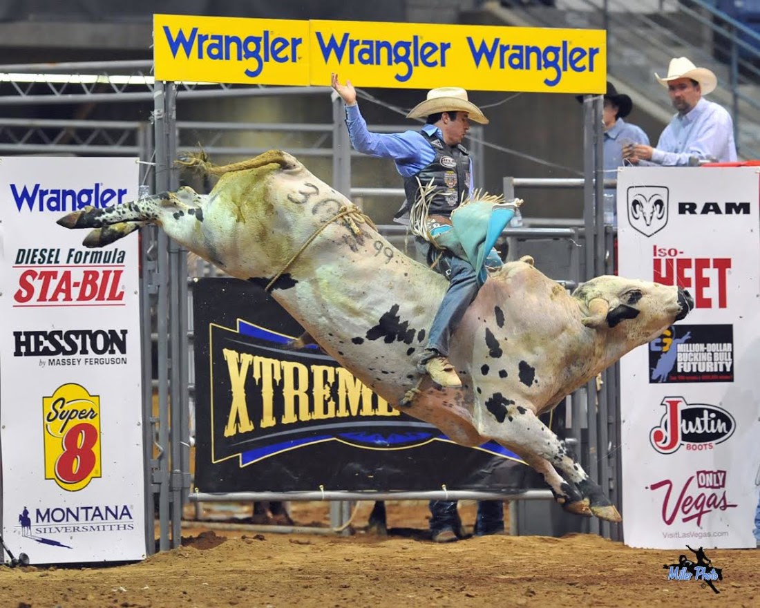 Chapman Automotive Group Queen Creek PBR at Horseshoe Park & Equestrian