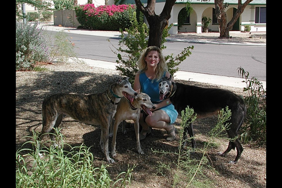 Sam Freeman, CPDT-KSA, is the president and owner of Pet Behavior Solutions and Edu-Care for Dogs of the Valley. She is the creator of the Core Behavior Assessment, which is the behavior evaluation program used by many animal shelters and animal control agencies in Arizona. Freeman is certified through the Certification Council for Professional Dog Trainers and has completed specialized education and training in psychology, learning theory, ethology, family counseling, behavior modification techniques, aggression, canine and feline behavior issues, and grief counseling. 