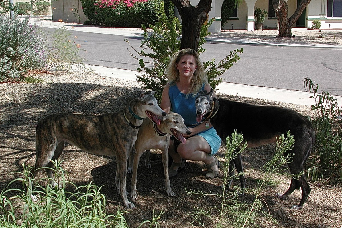 Pet Behavior Solutions: Be cautious when training your dog in hot weather