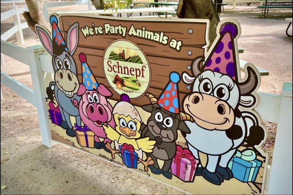 Schnepf Farms in Queen Creek is also a great place to host a children's birthday party.
