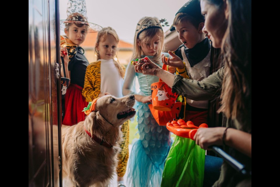 The Queen Creek Police Department and the Queen Creek Fire and Medical Department want residents to enjoy a fun and safe Halloween. Since most Halloween events occur at night, the risk of injury to children increases.