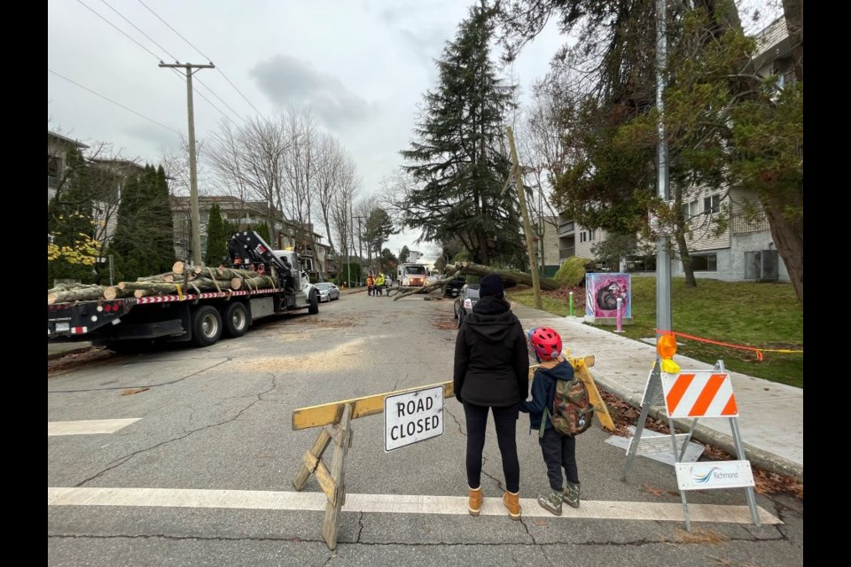 Area residents were surveying the damage after a tree fell across Bennett Road just west of St. Albans Road, partially closing Bennett on Monday.