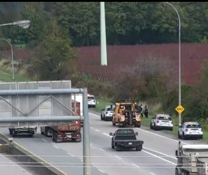 police-incident-highway-99