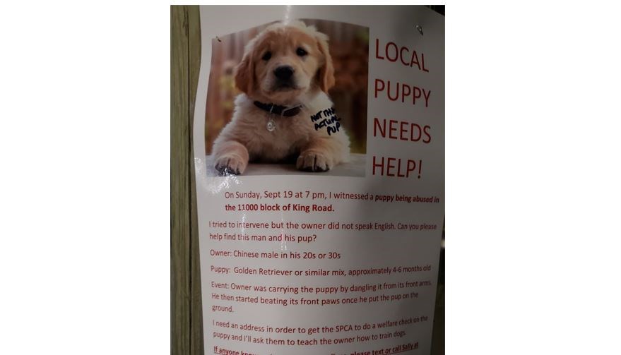 A woman called Sally has been putting up posters about the pup (not the one pictured) being abused in Richmond