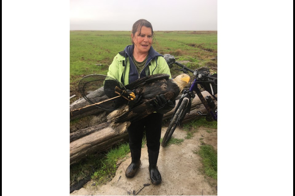 Therese Ducharme holding the injured bald eagle after saving it from the coyotes.