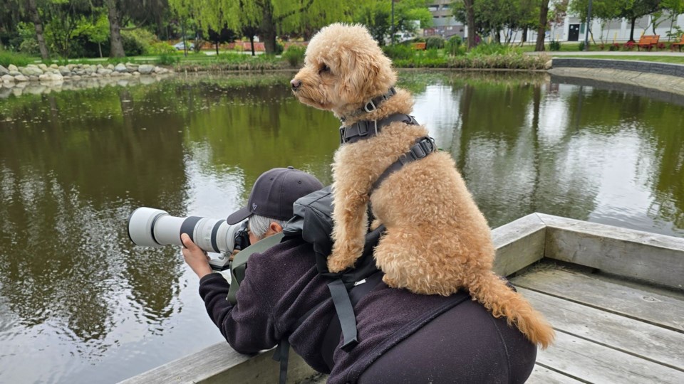 daniel-wee-photographer-and-assistant-minoru-lakes