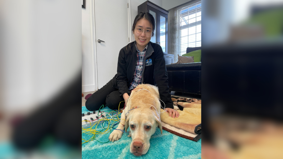 tcm-for-pets-richmonnd