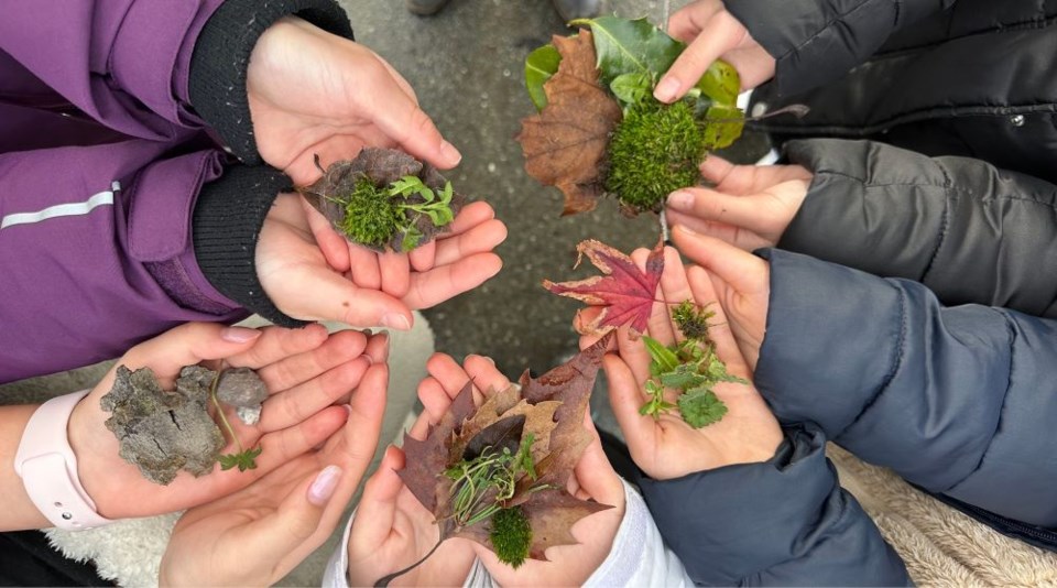 finding-stories-in-nature
