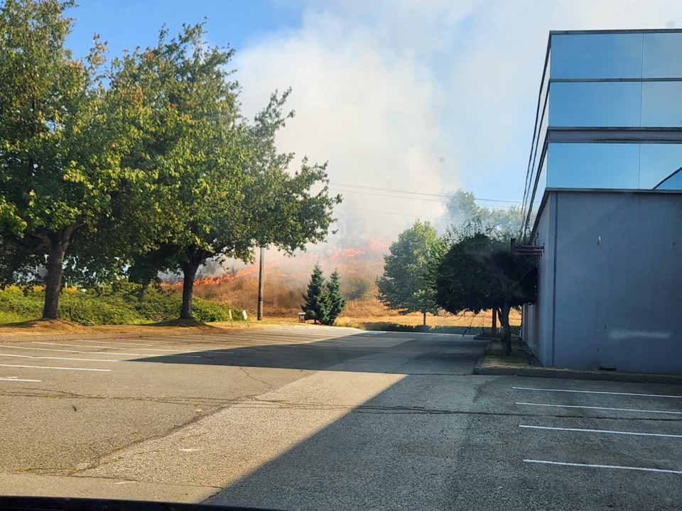 bush-fire-2