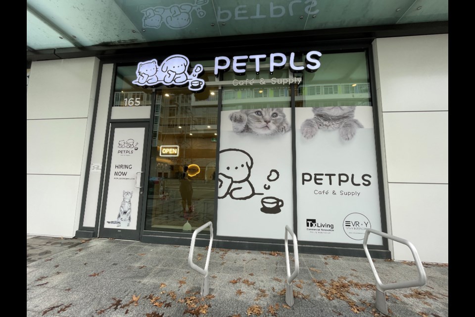PetPls is Richmond’s newest cat cafe.