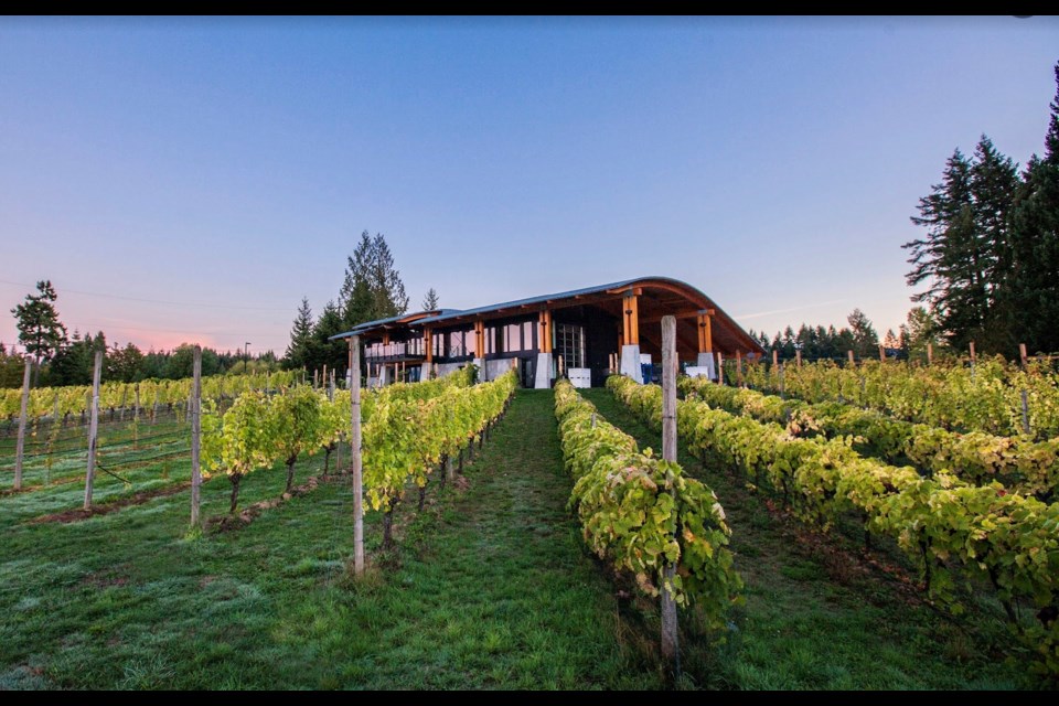 The beautiful Blue Grouse Estate Winery awaits your visit. 