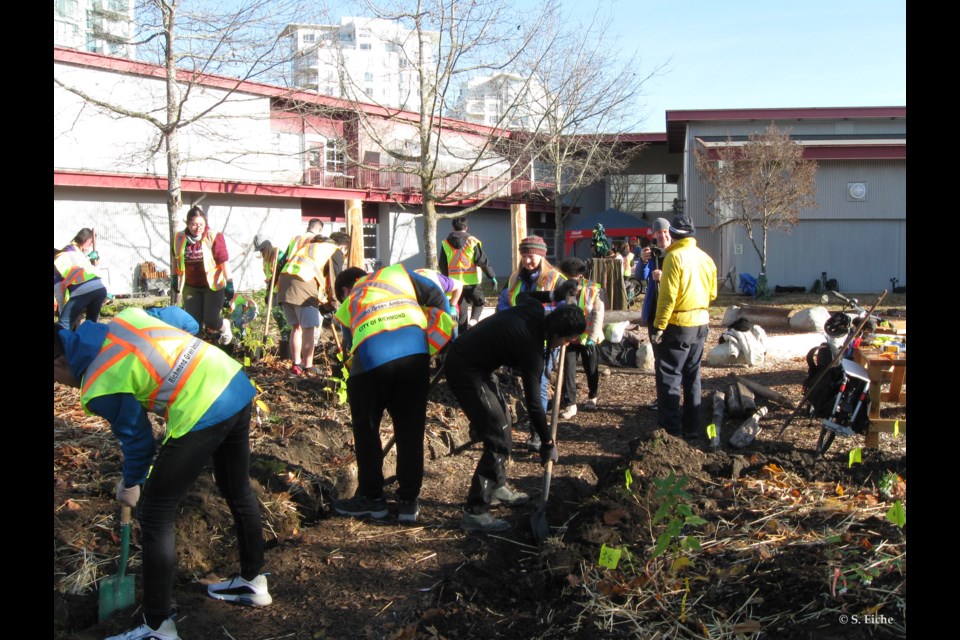 Planting the first Miyawaki mini-forest on the grounds of Richmond Senior Secondary School, 19 November 2022.