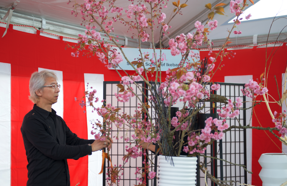 2025-cherry-blossom-festival