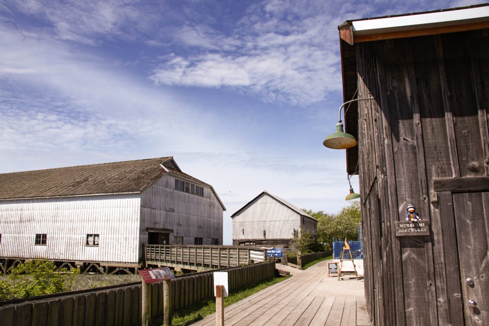alan-cohen-seine-net-lofts-steveston