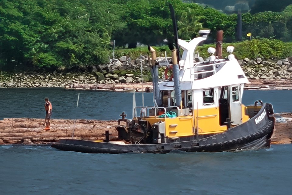 A log boom spotted at McDonald Beach.