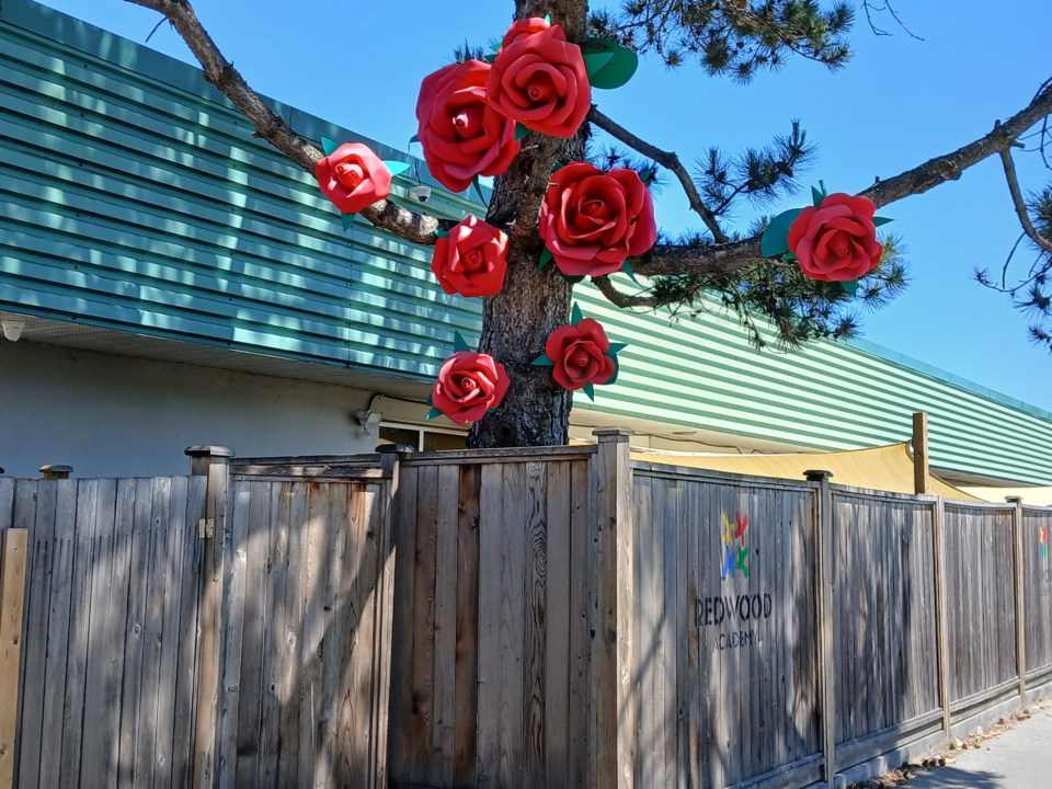 keith-van-vliet-redwood-academy-flower-tree-horseshoe-way