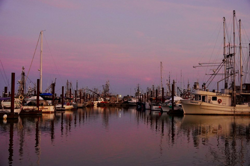 Cotton candy skies during sunrise in Steveston.