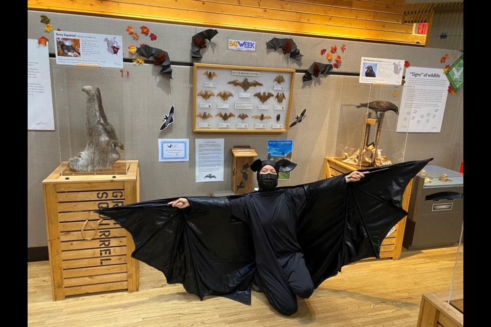 Staff from the Richmond Nature Park dressed in bats costume to welcome people to attend the bat display. 