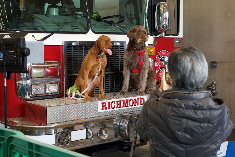 Dog owners were invited to get their dog's picture taken on a fire truck bumper as part of  a Richmond Fire-Rescue outreach program.