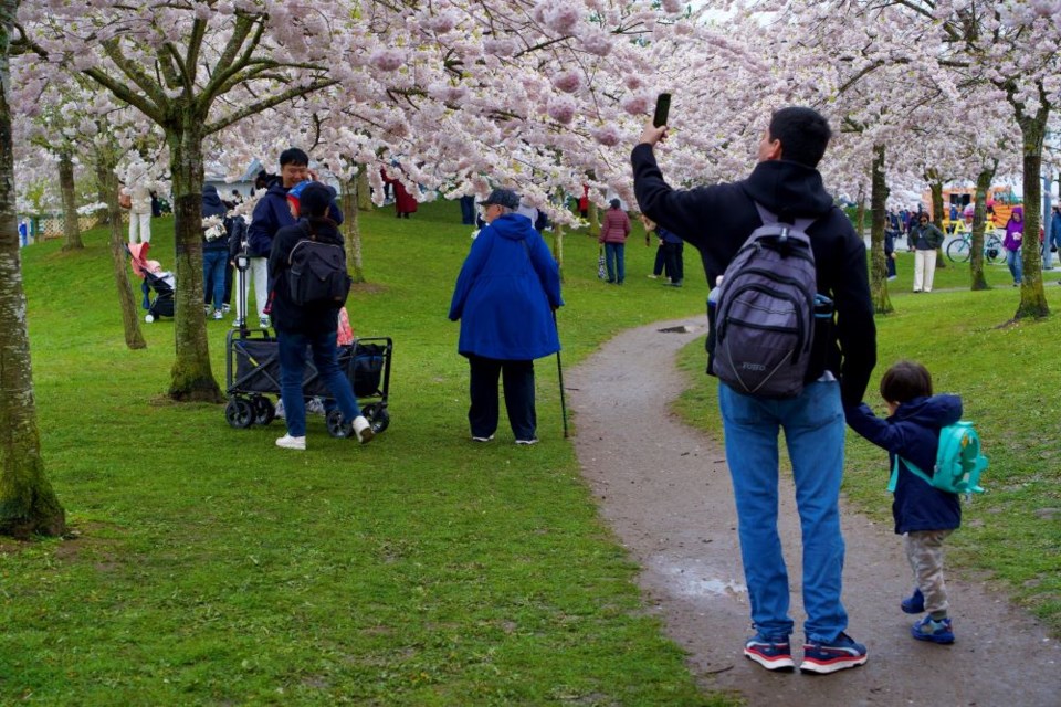 Thousands attended the 2025 Cherry Blossom Festival in Garry Point Park.