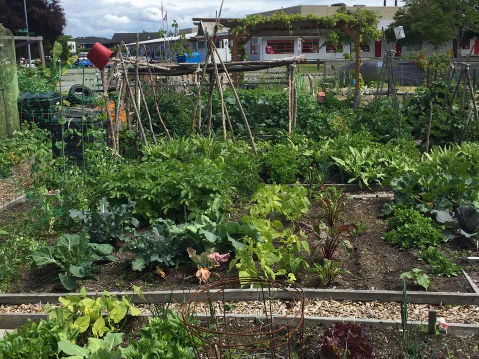 Community garden