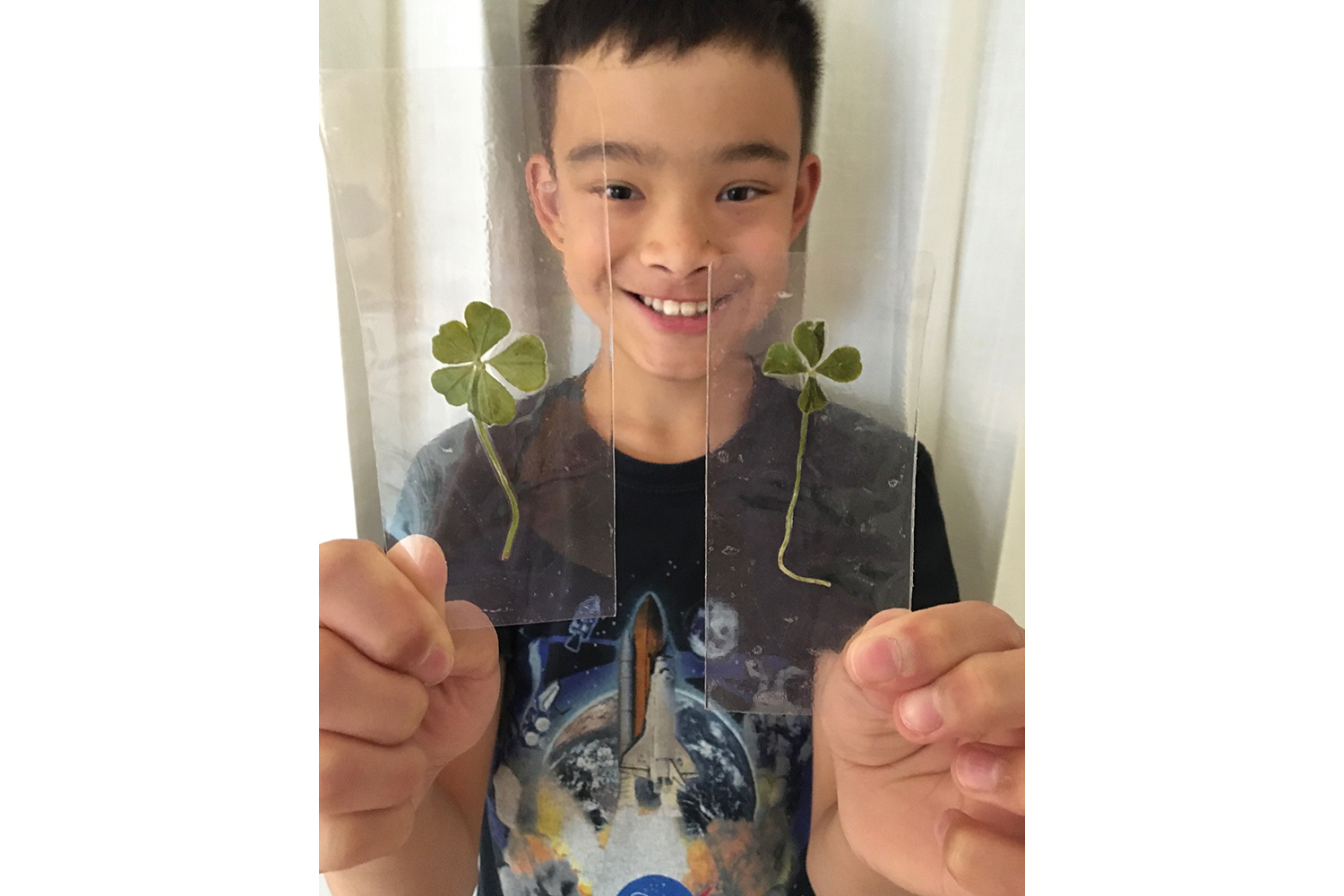 Finding more than luck in four-leaf clovers