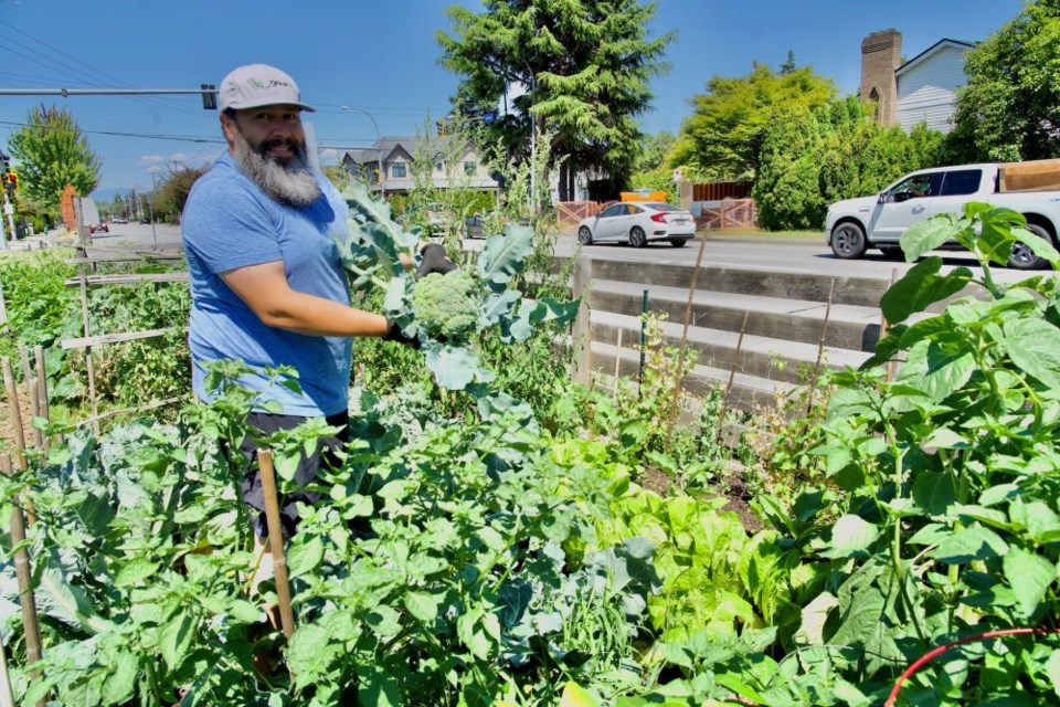 Richmond residents can rent out community garden plots at 17 different locations throughout the city.