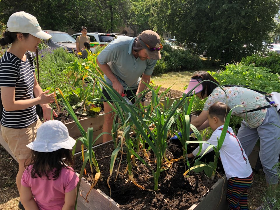 lansdowne-food-garden-2022