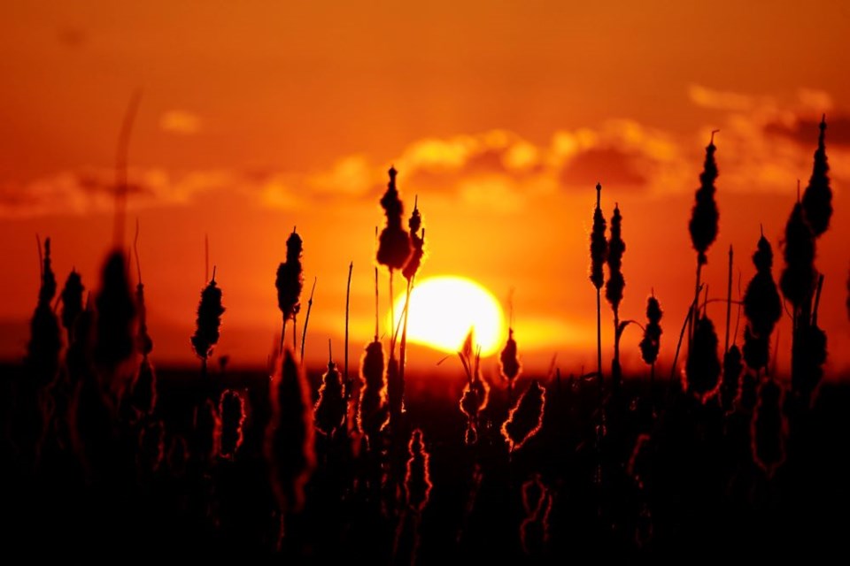 Sunset as seen from the West Dyke.