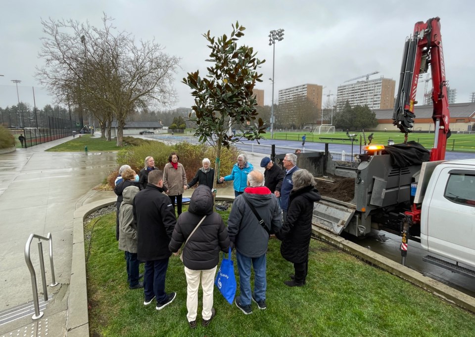 nan-baardsen-tree-planting