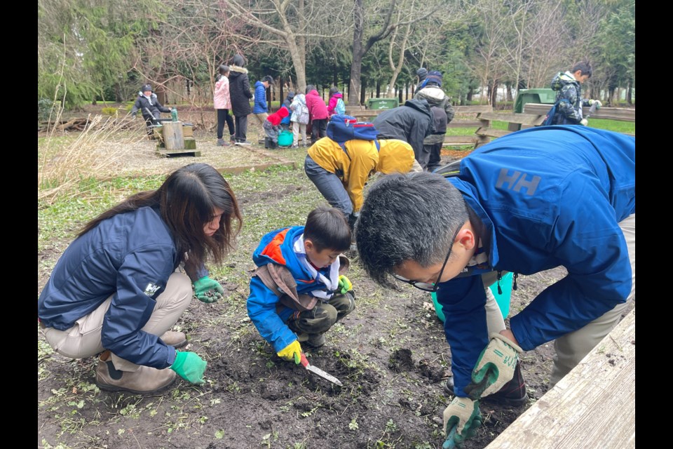 Youth with the Richmond 28th Scout Group helped clean up a community garden at Paulik Park.