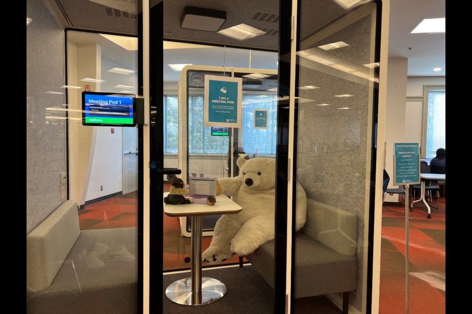 A bear and a rabbit were spotted having a serious meeting in one of the new meeting pods at Richmond Public Library's Brighouse branch.