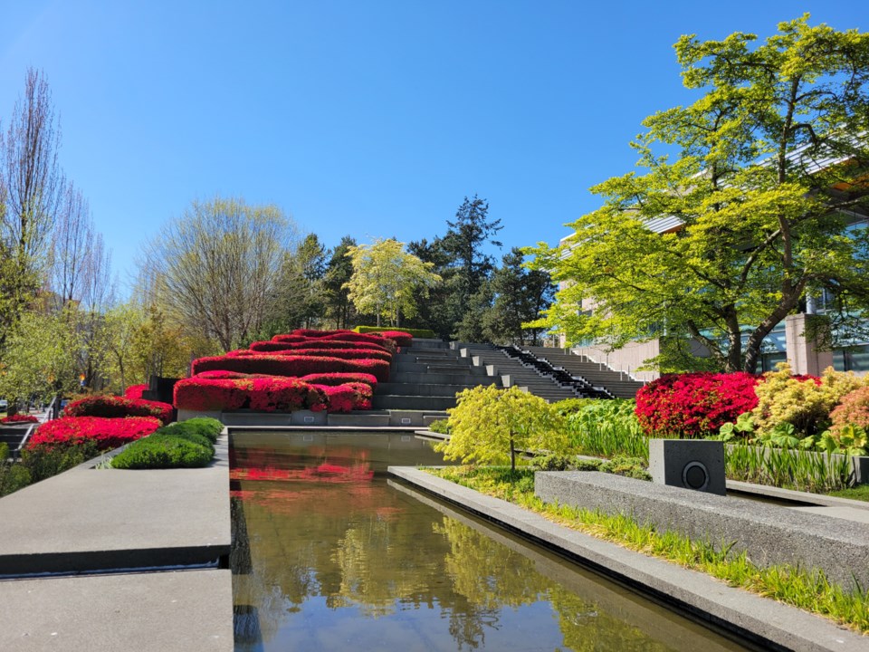 shari-gascoigne-richmond-city-hall-stairway-and-fountain-flowers