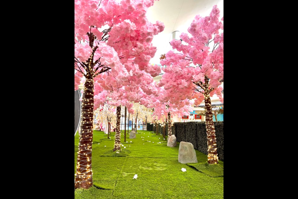 The Richmond mall’s atrium has been transformed into a nature park featuring 23 six-foot-tall cherry blossom trees. 
