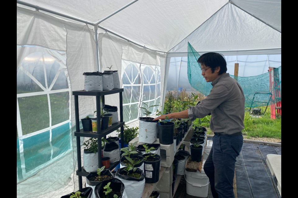 Arthur Huang is introducing his tea plants to guests. 
Photo via Nono Shen