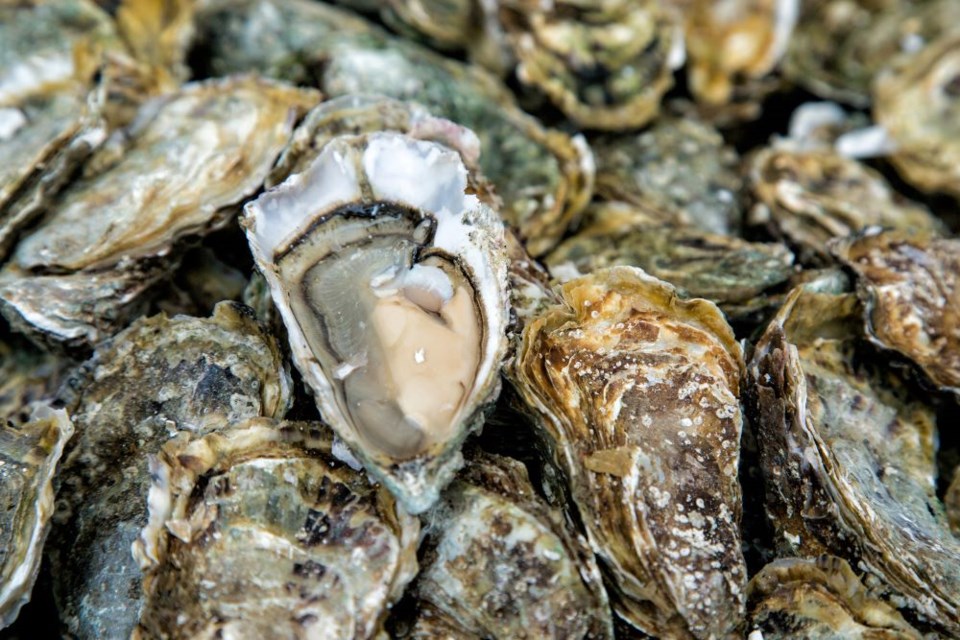 oysters-getty-images