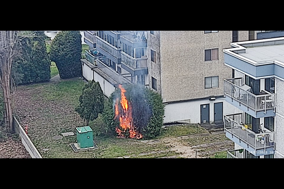 A bush fire occurred on April 1 near Buswell Street and Saba Road.