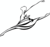 The Richmond Academy of Dance