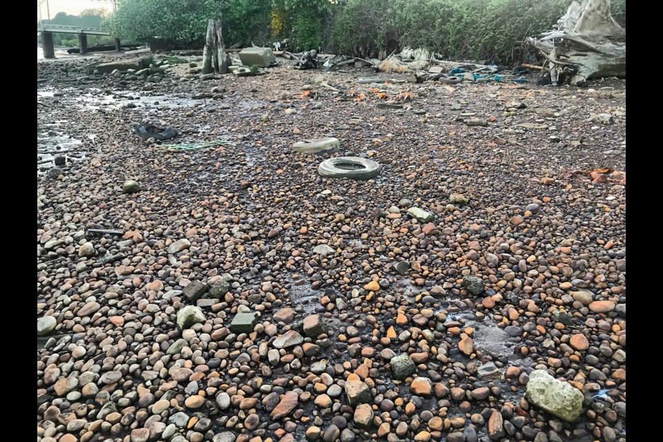 Environmental advocates are calling for a revival of the Fraser River Estuary Management Porgram. Pictured: the landscape of the old Richmond dumpsite is stained from rusting metals and decaying garbage.