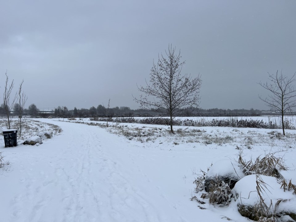 garden-city-lands-snow