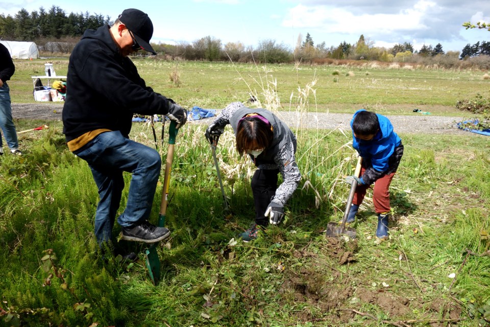 The Green Team pulled invasives last year at Terra Nova Park. Another event is planned for this Saturday.