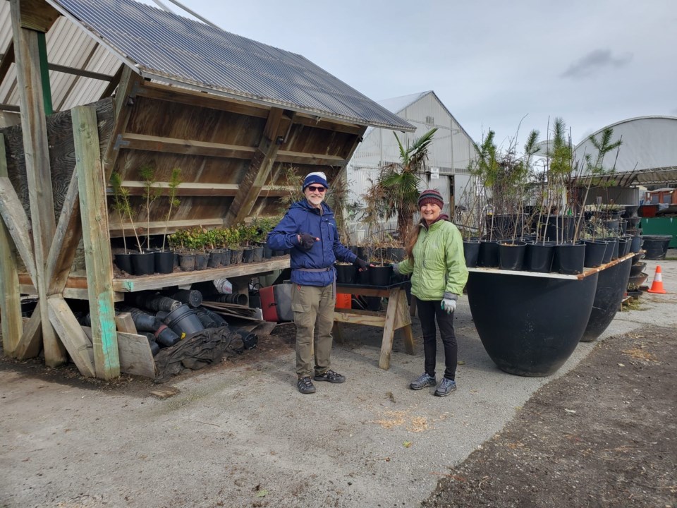 miyawaki-forest-preparation